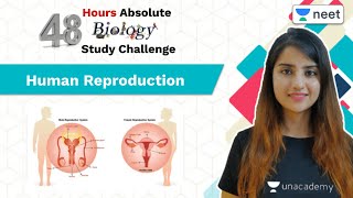 Human Reproduction  48 Hours Absolute Biology Study Challenge  Unacademy NEET  Seep Pahuja [upl. by Nallid]