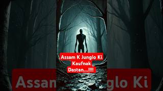 Assam Ka Bhootiya Jungle horror assam hauntedstories realghoststory ghost horrortales [upl. by Tatiania]