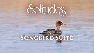 Dan Gibson’s Solitudes  Reflections  Songbird Suite [upl. by Atnom]