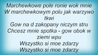 Lady Pank  Marchewkowe Pole Lyrics [upl. by Ahtnamys]