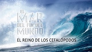 El Mar del Fin del Mundo Cap 1 El Reino de los cefalópodos Español [upl. by Eloisa]