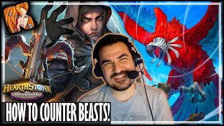 I FOUND THE COUNTER TO BEASTS  Hearthstone Battlegrounds [upl. by Zap]