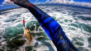 Fishing for Wrasse 🐟 [upl. by Christensen]