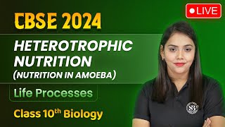 Heterotrophic Nutrition Nutrition in Amoeba  Life Processes Class 10 Biology  Shipra Mam [upl. by Nyrahs]