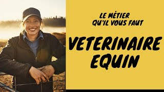 Vétérinaire Equin [upl. by Pattison]