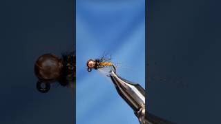 Sweet Meat Caddis [upl. by Medin]