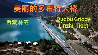 美丽的多布特大桥  Duobu Bridge Linzhi Tibet 2023 [upl. by Adihsar]