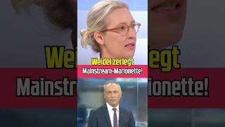 Mainstream Marionette staunt Bauklötze aliceweidel [upl. by Rehpinej]