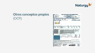 Conoce los conceptos de tu Estado de Cuenta  Factura Naturgy [upl. by Akierdna]