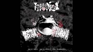 Phyllomedusa  Destroy Destrucción Humana Full Album [upl. by Hannaj655]