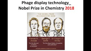 噬菌體展示技術 Phage Display Technology [upl. by Cordey]