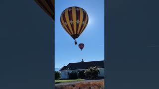 Balloon eclipse at the 2024 Montague Balloon Festival [upl. by Valley]