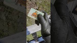 Alot of players missed this rare card in Strawberry  RDR2 [upl. by Pedro]