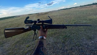 308 Browning BLR at 330 yards pre ‘81 [upl. by Ramuk]