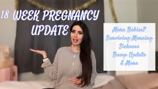 18 WEEK PREGNANCY UPDATE  BABY 4  More Babies Feeling baby How to deal with Morning Sickness [upl. by Tiedeman782]