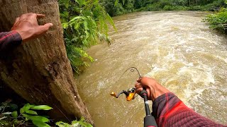 SANGAT KEJAM ASAL DI TAROH LANGSUNG DI HAJAR  MANCING IKAN HAMPALA DI SUNGAI KERUH [upl. by Batholomew522]