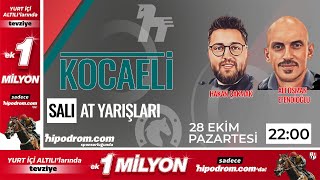 29 Ekim 2024  Kocaeli At Yarışı Tahminleri  Hakan Çakmak  Ali Osman Efendioğlu [upl. by Shari]