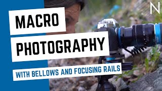 Macro Photography with Bellows and Focusing Rails [upl. by Dilan374]