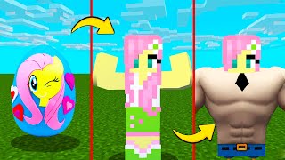 Evolution Of Fluttershy In Minecraft My Little Pony [upl. by Rolan]