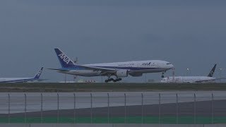 Curved Japans Canarsie like approach ANA 777 Smooth Landing with ATC [upl. by Zorina579]