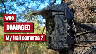 Trail Camera Bandits CAUGHT on Camera [upl. by Urbai161]