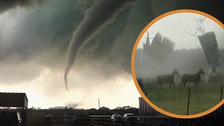 Horses Hit by Tornado amp Escape Unharmed [upl. by Maccarone]