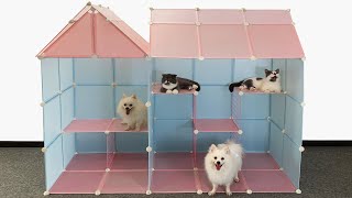 DIY  How To Make Dog Apartment House For Pomeranian Puppies With Cube Grid Wire  Cute Kitten MRPET [upl. by Aliahs]