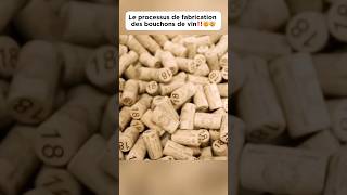 Le processus de fabrication des bouchons de vin‼️🤯🤯 bouchon wine plug découverte pourtoi fyp [upl. by Neenahs]