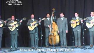 LA RONDALLA DE SALTILLO  25 AÑOS [upl. by Caundra]