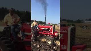 Farmall 1206 plowing at HCOP [upl. by Colt912]