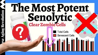 The MOST Potent Senolytic Which Also Activates Longevity Genes  Dr David Sinclair amp Dr Kaufmann [upl. by Naryt329]