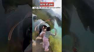 पानी के नीचे बनी वाटर स्लाइड   Dubai underwater water slide  dubai [upl. by Ireva]