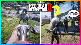 What Happens If You Bring A Legendary Animal Back To Camp In Red Dead Redemption 2 RDR2 SECRETS [upl. by Germaun]