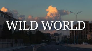 Mr  Big  wild world lyrics video [upl. by Thom]