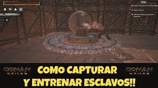 Como capturar y entrenar esclavos Conan Exiles [upl. by Oirevlis]