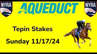 Aqueduct Sunday 111724 Selections  All Races [upl. by Lothario]