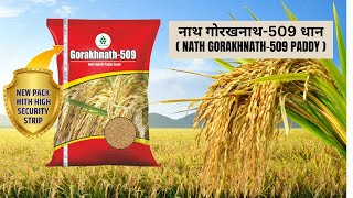 नाथ गोरखनाथ509 धान  NATH GORAKHNATH509 PADDY [upl. by Amabel]