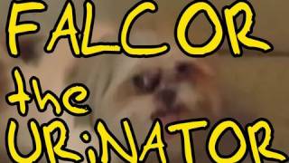 FALCOR  the URiNATOR TROGDOR Parody  Now on iTunes [upl. by Wileen594]