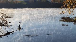 Fog tendrils cross Mon River at Duck Hollow 20241028 0853 [upl. by Talley608]