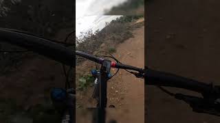 Pumping down to the bridge on the flowy blue mtb dirt jump line [upl. by Ahsenik]