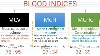 hematology hematocrit  MCV  MCH  MCHC  blood count  White blood cell differential [upl. by Edasalof]