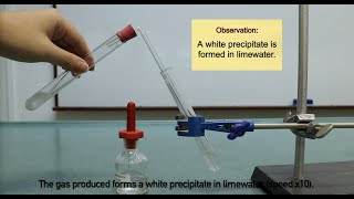 Reaction of Acid and Carbonate  test for carbon dioxide gas [upl. by Alcina]