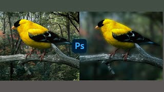 increase image quality  how to BLUR background in photoshop [upl. by Aryahay228]