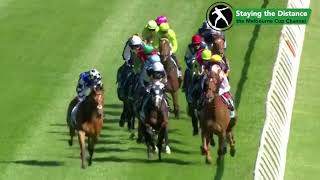 Bendigo Cup 2024  Sea King Knights Choice Whisky On The Hill [upl. by Nosduj]