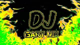 PASAME LA BOTELLA vs INTRO PITBULL DJ GARY MIX [upl. by Annaik]