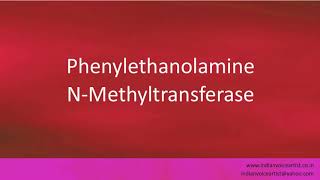 Pronunciation of the words quotPhenylethanolamine NMethyltransferasequot [upl. by Akeihsal]