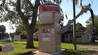 How Much Money Does a Corn Vending Machine Make [upl. by Ailam]