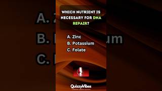 🍎 Are You a Nutrition Pro Test Your Knowledge nutrition quiz [upl. by Nosyla422]