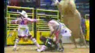 Bodacious The Undefeated Rodeo Bull Videoflv [upl. by Ennaesor]