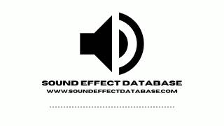 Keys Jingle Sound Effect [upl. by Ellecrag]